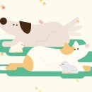 멍냥굿즈 이미지