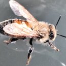 일종수산 이미지