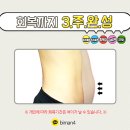 차칸몸매 이미지