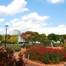 꽃향기 머무는 곳 이미지