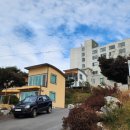 파인트리풀빌라펜션 이미지