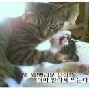 개편한세상 이미지