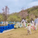 TOP텔레콤 이미지