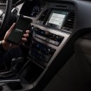 현재오토카 이미지