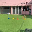 코모네 펫하우스 이미지