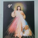 +남양 성모 성지 성당 이미지