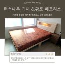 수동 편백나무집 | 🌲편백나무 침대와 황토 매트리스로 따뜻한 침실 완성~!!