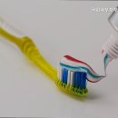 국회사무처부속의원 이미지