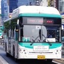 세란온누리약국 이미지