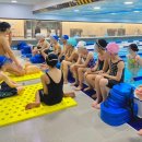 하비엘럭스 이미지