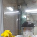 채담이네 이미지