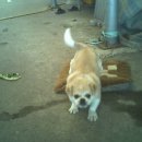 돌대가리 이미지