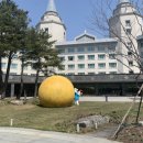 하이원  팰리스호텔 이미지