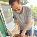 영권농장 Daum카페