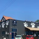 발바닥애견카페 이미지