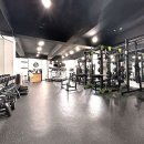 운동이끌림 이미지