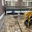 대구동변초등학교 이미지