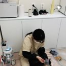 묘리깡 | 부산고양이미용실 연산동 묘리깡 코숏미용후기