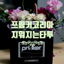헤나도안 1초 타투 프링커S 지워지는타투 리얼후기
