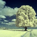 재미월드 이미지