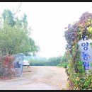 남양농원 - 성남시 중원구 성남대로 1149 | 남양농원