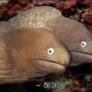 목포참숯불갈비