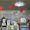 앤(N)도시락 N로코카레 | 청주 실내 아이랑 가볼 만한 곳 ‘버드앤쥬’ 실내 동물원