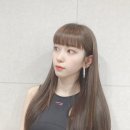 양이펀치 이미지