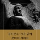 [산지니/신간] 불이문(不二門)을 넘어 붓다의 세계로 이미지