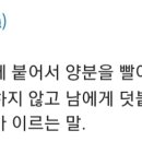 (장문/스포) 기생충 본 소감 이미지