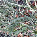 (주)대풍환경 이미지