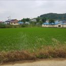 신송1리 마을회관 이미지