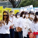 여수시청 이미지