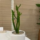 서울연필 - 종로구 자하문로 131 | 서울연필