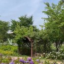 신동수변 이미지