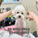 개운하개 네이버블로그