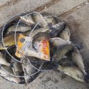 방아실낚시터 이미지