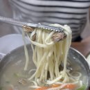 벌떡꼼장어