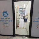 진이네 강아지풀 이미지