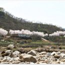 쌍계사 - 1839 | 쌍계사