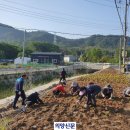 마전2통 의양신문