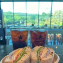 비자림빌리지 이미지