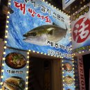 제주바당 | [서울바당/종각] 종각 고등어회 맛집 추천｜서울에서 제주도 느낌 “제주바당” 솔직후기