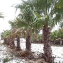 신평농장 이미지