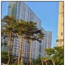 한신더휴영천 퍼스트아파트 이미지