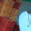 새미래약국 | 짐 싸기부터 새 출발까지, 초간단 원룸 이사 꿀팁 대방출!