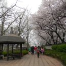 @ 서울 도심의 달달한 뒷동산이자 일몰, 새해 해돋이 명소 ~~ 남산 나들이 (남산야외식물원, 남산 목멱산봉수대, 한양도성) 이미지
