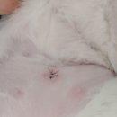 로하스일산병원 이미지