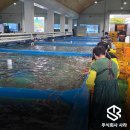 사라수산 이미지