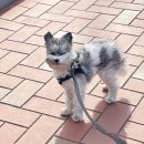 경산빌딩 이미지